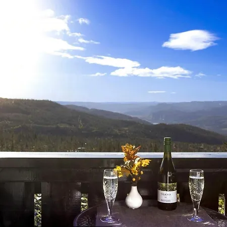 Holiday home Family With Jacuzzi At Tempelseter Eggedal